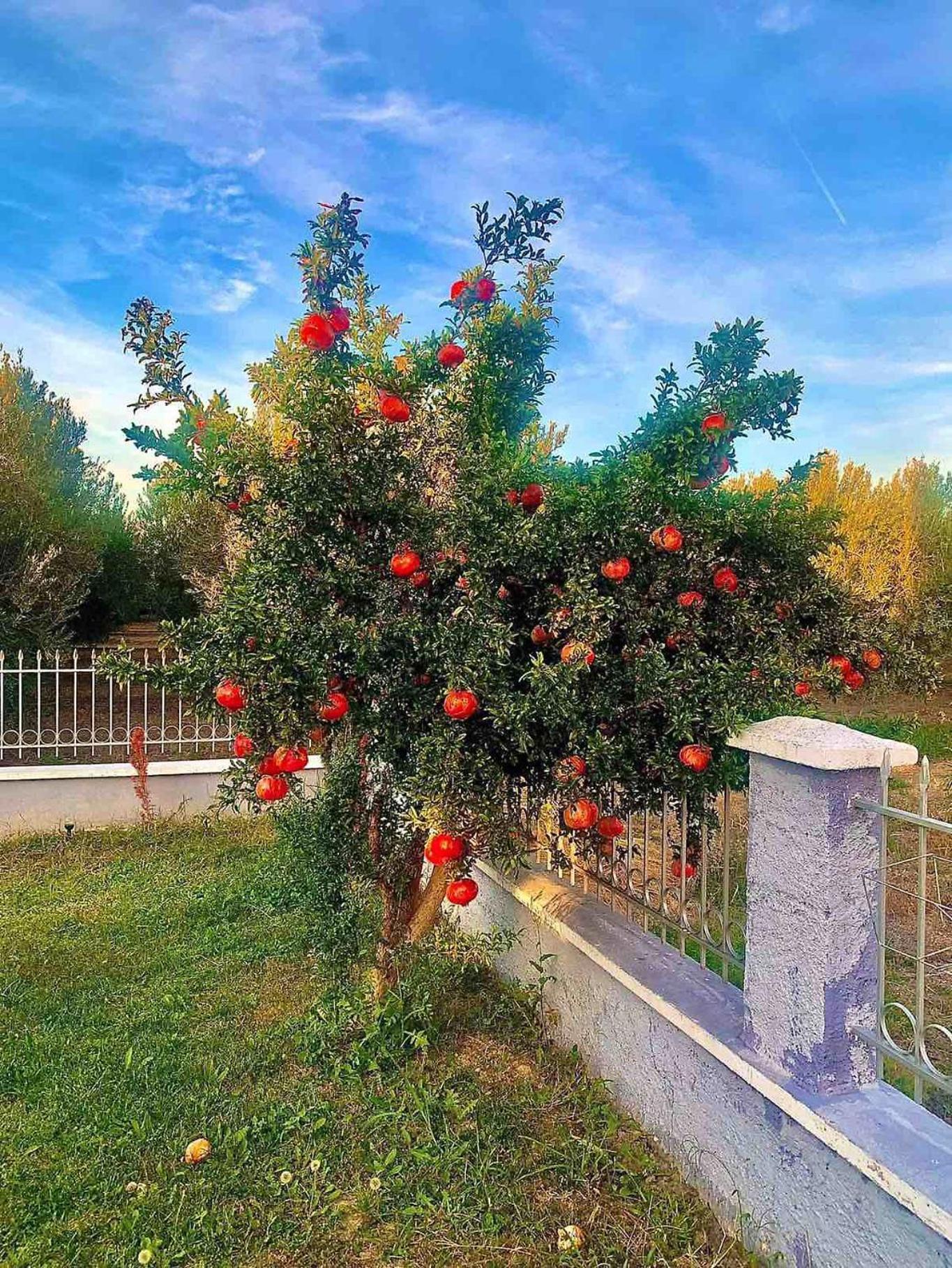 Вилла Blue House Kariani Экстерьер фото